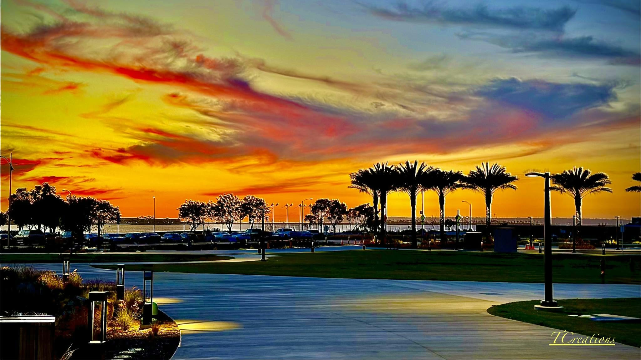 A harbour at sunset with palms in silhouette